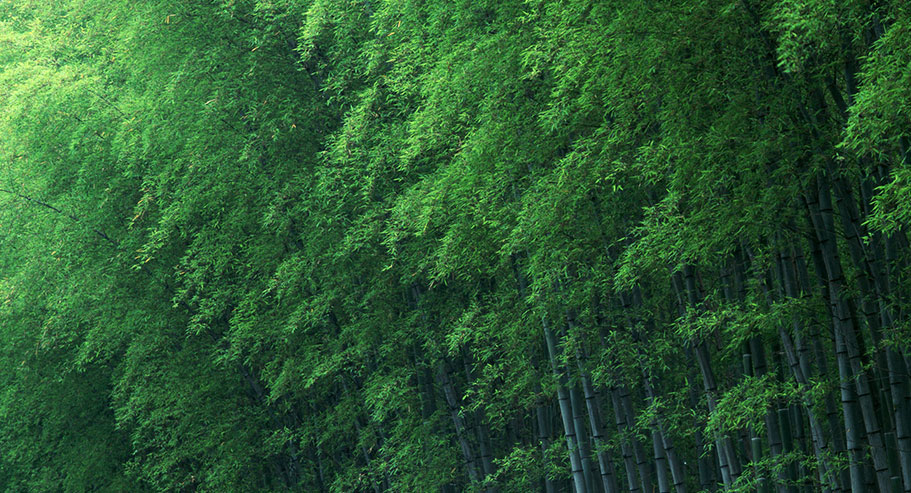 Jiaxing Xuanyi International Trade Co., Ltd